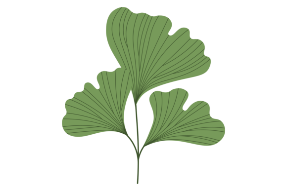 Floral Element: Green Leaf Decorative B for Modern Design