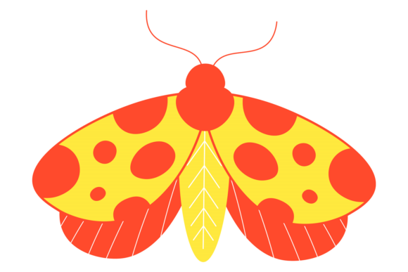 Summer Moth: A Whimsical Decorative Typeface